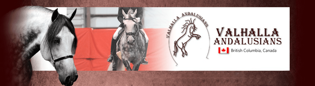 Valhalla Andalusians, British Columbia, Canada - Contact us